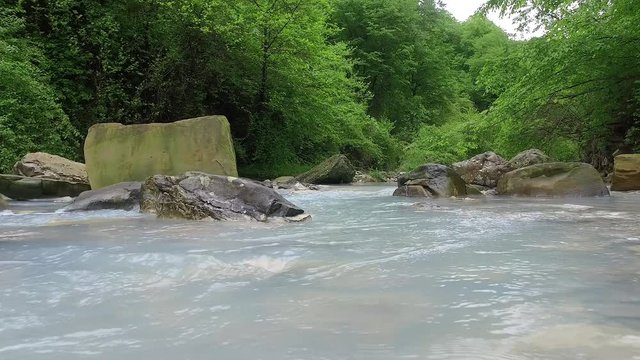 Coast of the Agura river on the territory of the Khosta district of Sochi in Krasnodar Krai of Russia