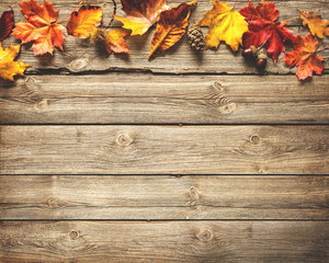 Naklejka na ściany i meble Thanksgiving autumnal background