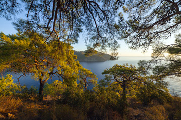 Turkish landscape, beach with green forest