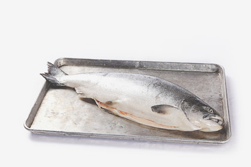Salmon in a plate isolated on a white background. © bennnn