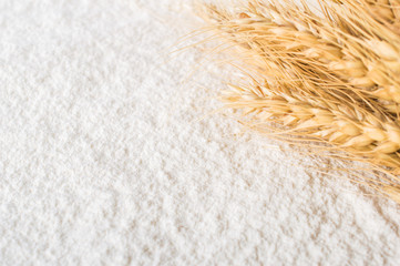 Scattered flour and wheat ears.Macro. Close up.
