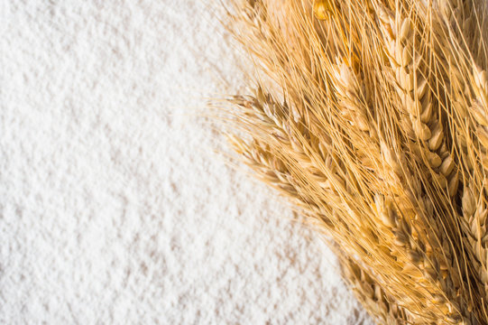 Scattered flour and wheat ears.Top view. Flat lay.Macro. Close up.
