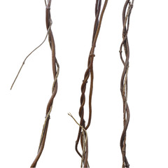 Liana, jungle climbing vines set isolated on white background, c