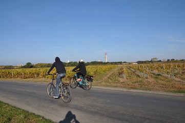 Fototapeta na wymiar l'île de Ré à vélo