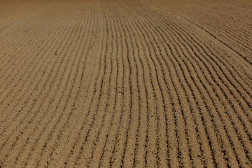 Naklejka premium plowed field