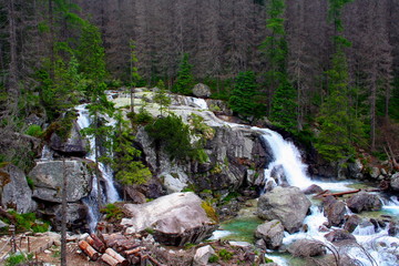 Cold stream waterfall in national park High Tatra, Slovakia, Europe