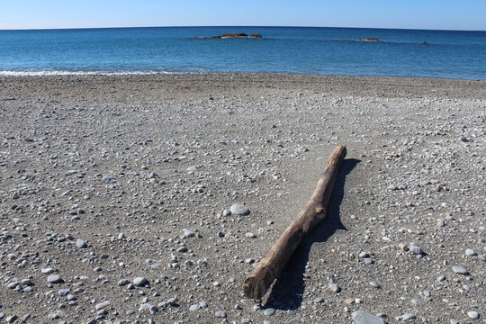tronco d'albero spiaggiato sulla costa Calabra