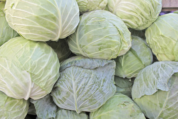 Green cabbage on the market in Bulgaria