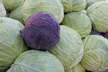 Fototapeta na wymiar Green and red cabbage on the market in Bulgaria