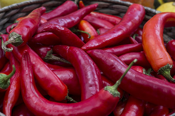 Harvest chilli in a basket closeup