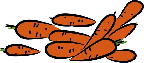 Sketch of carrot