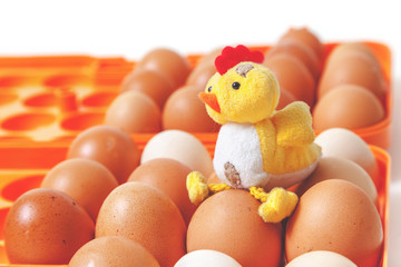 Yellow chicken sitting on top of eggs in orange tray