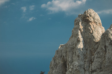 Mountain AI-Petri