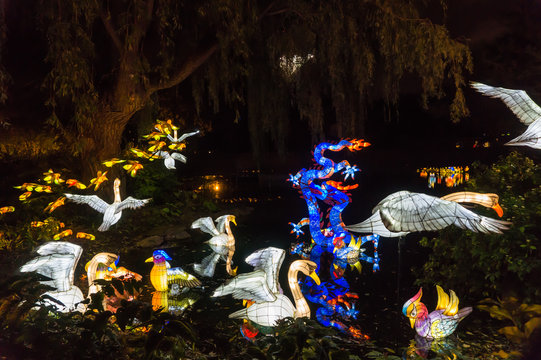 Chinese lanterns lit up at night in the Chinese Garden  
