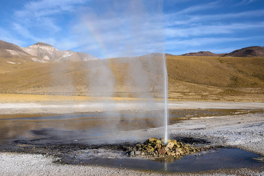 Geyser of Puchuldiza, Colchane (Chile)