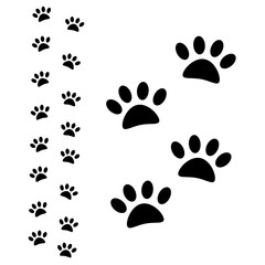 Fototapeta premium Animal paw path