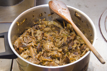 Pentola di funghi biologici