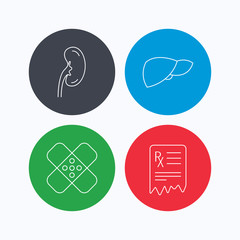 Liver, medical plaster and prescription icons. Kidney linear sign. Linear icons on colored buttons. Flat web symbols. Vector