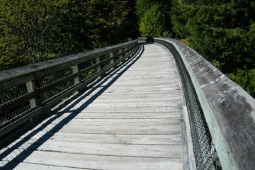 Fototapeta premium Old Wooden Train Trestle Bridge Converted to Hiking Walking Biking Cycling Path