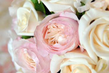 Rosa - Bouquet
