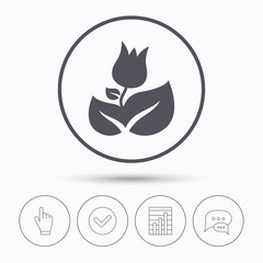 Rose flower icon. Florist plant with leaf symbol. Chat speech bubbles. Check tick, report chart and hand click. Linear icons. Vector