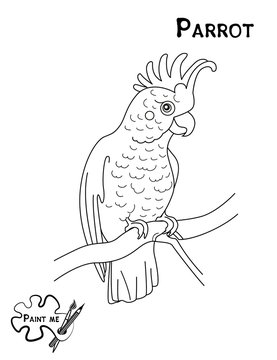 Children's coloring book that says Paint me. Parrot