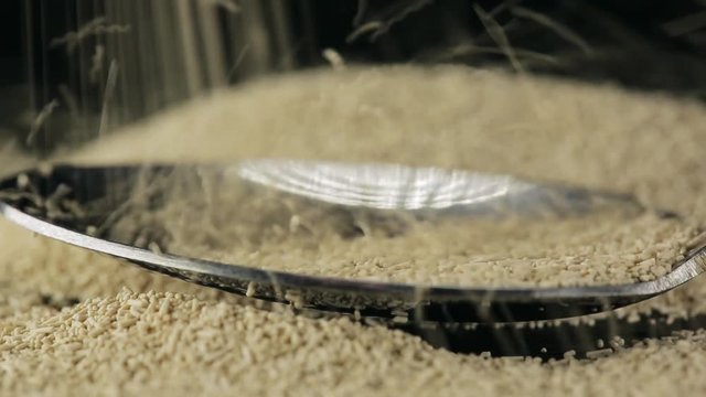 Dry yeast fall down in a spoon