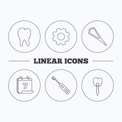 Dental implant, tooth and tweezers icons. Electric toothbrush linear sign. Flat cogwheel and calendar symbols. Linear icons in circle buttons. Vector
