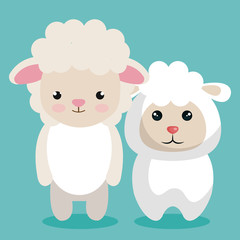 cute couple stuffed animals vector illustration design
