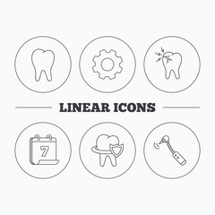Tooth, toothache and drilling tool icons. Teeth protection linear sign. Flat cogwheel and calendar symbols. Linear icons in circle buttons. Vector