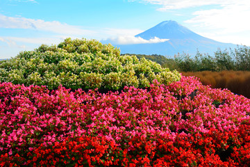 Mt. Fuji, Japan