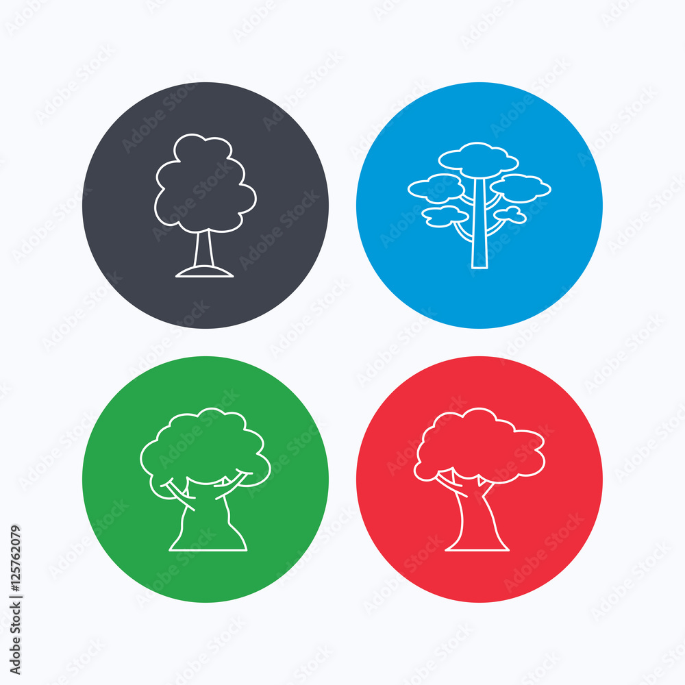 Poster pine tree, oak-tree icons. forest trees linear sign. linear icons on colored buttons. flat web symbo