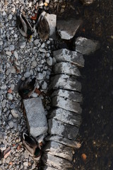 Canards endormis sur des Galets vus de haut