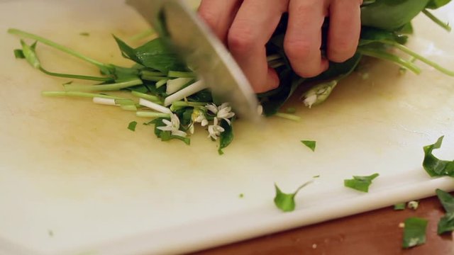 HD 1080 static: chef finely chopping bears garlic leaves; close up;