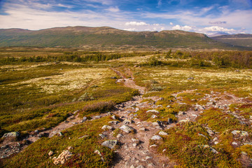 mountain landscape Norway national park Dovre