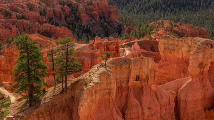 Bryce Canyon National Park Utah On The Cliff