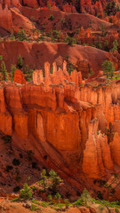 Bryce Canyon National Park Utah Guards
