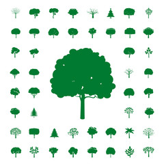 Collection of Green Trees. Vector icons.