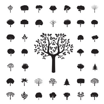 Collection of Black Trees. Vector icons.