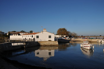 l'île de Ré à vélo