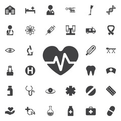 heartbeat vector icon