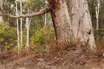Stewarts Bay Tasmania