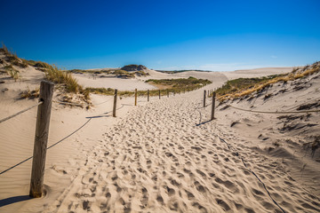 Moving dunes park near Baltic Sea in Leba, Poland