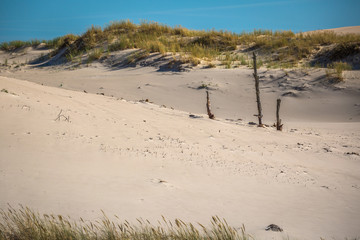 Moving dunes park near Baltic Sea in Leba, Poland