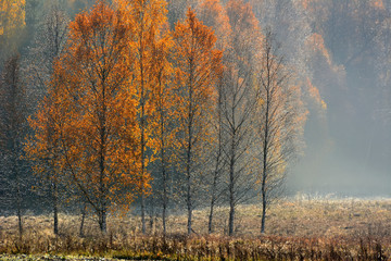 Autumn landscape