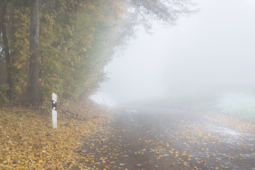 road on fog