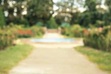 Fototapeta na wymiar Beautiful park blurred background