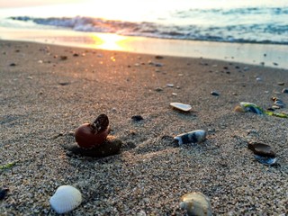 Sea sunrise at Black sea