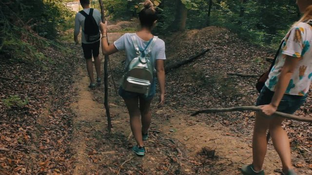 A group of tourists out of the woods, walking along the forest path.