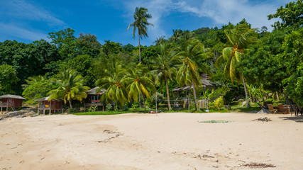 Idyllic beach with palm trees and huts. Perfect honeymoon.